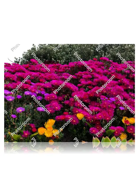 Jaqueta Gucci reiciendis omnis