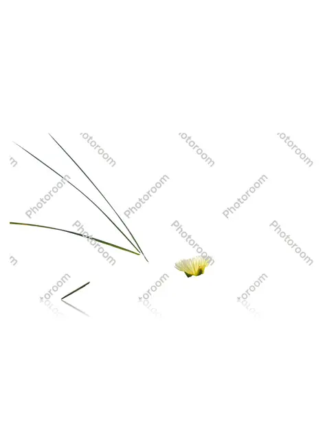 Jaqueta Gucci reiciendis omnis