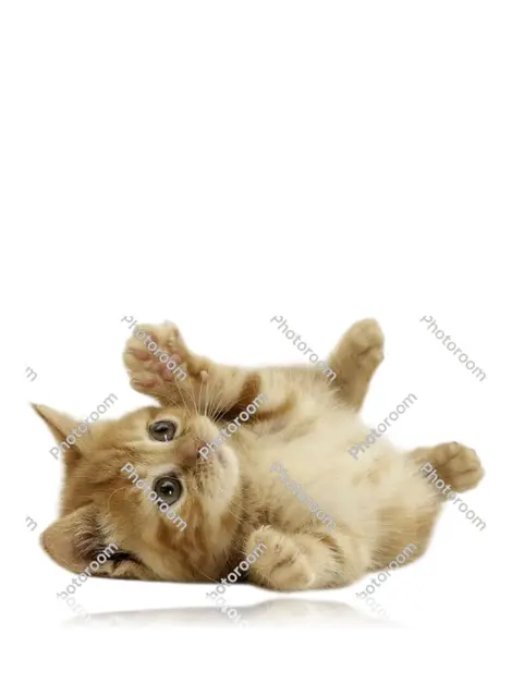 Mala Louis Vuitton Alize