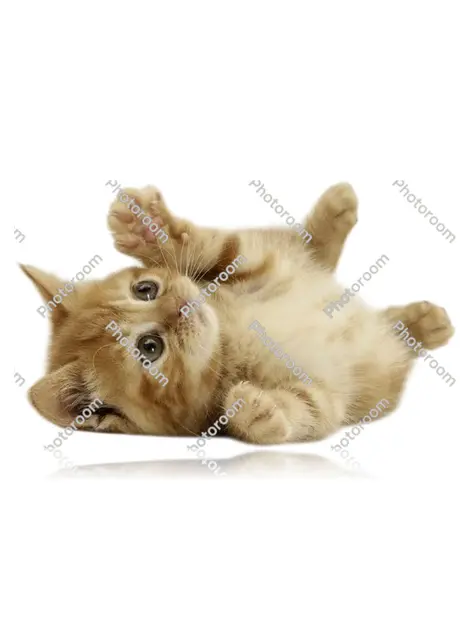 Mala Louis Vuitton Alize