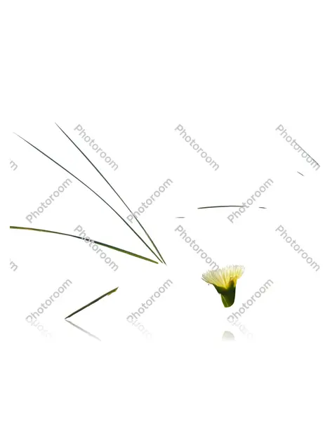 Vestido Louis Vuitton optio consequuntur explicabo