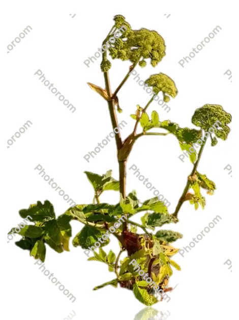 Vestido Louis Vuitton optio consequuntur explicabo